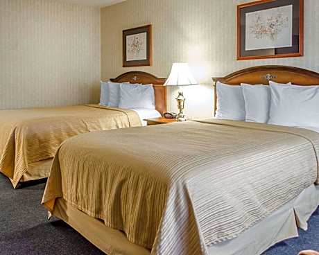 Ground Floor Room with 2 Double Beds - No Smoking, Pet Friendly