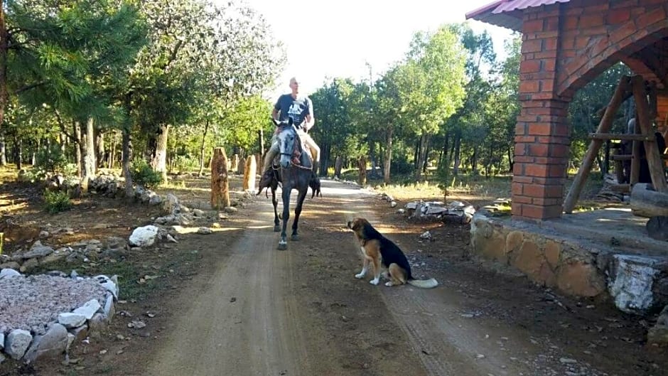 Rancho Cabañas San Isidro