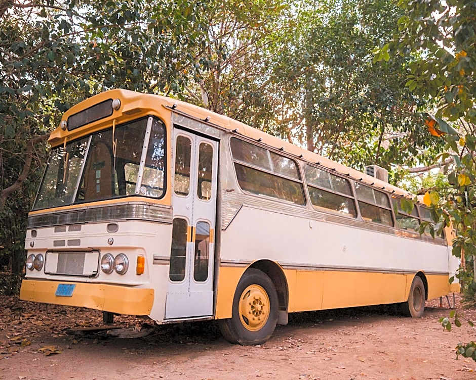 Bounce Magnetic Island and Koala Park