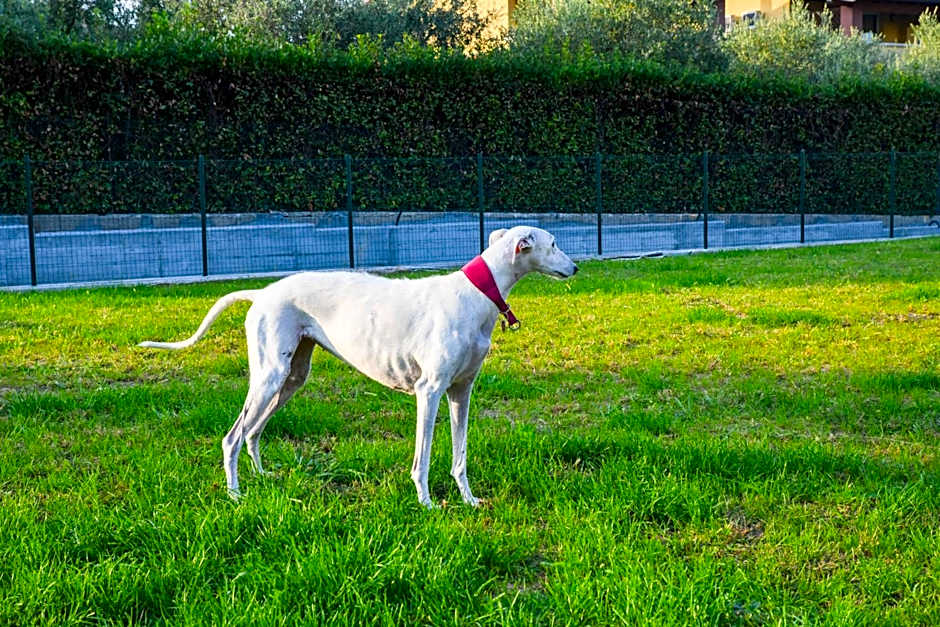 Apparthotel San Sivino