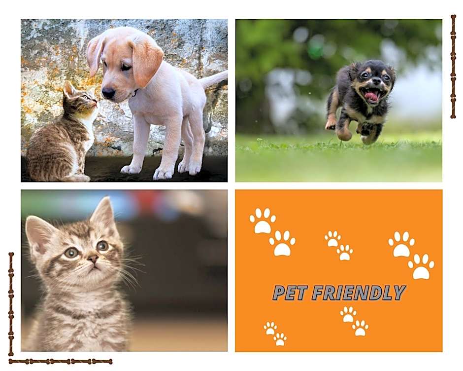 City View Pescara B&B