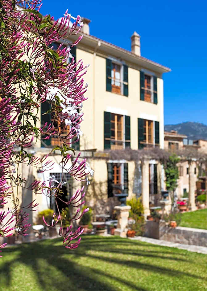 The Salvia - Adults Only