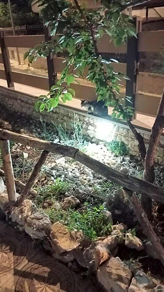 Villa Uria monolocali con e senza angolo cottura