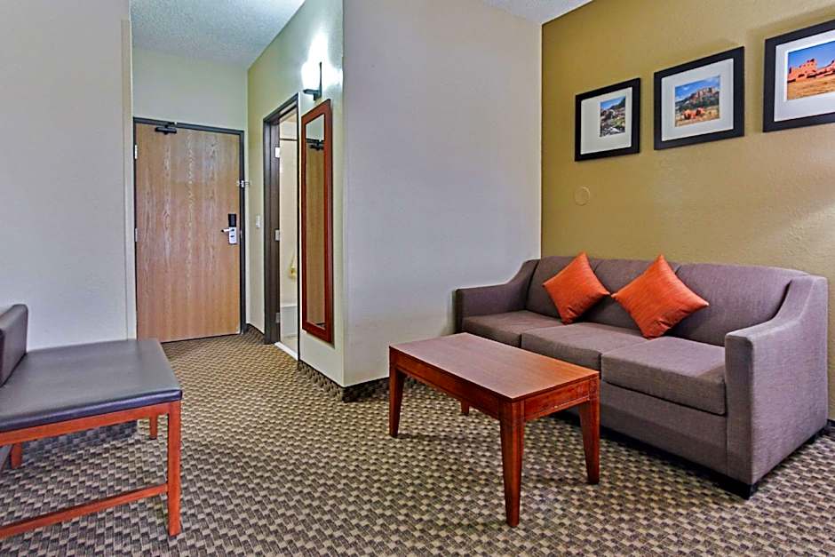 Comfort Suites   University
