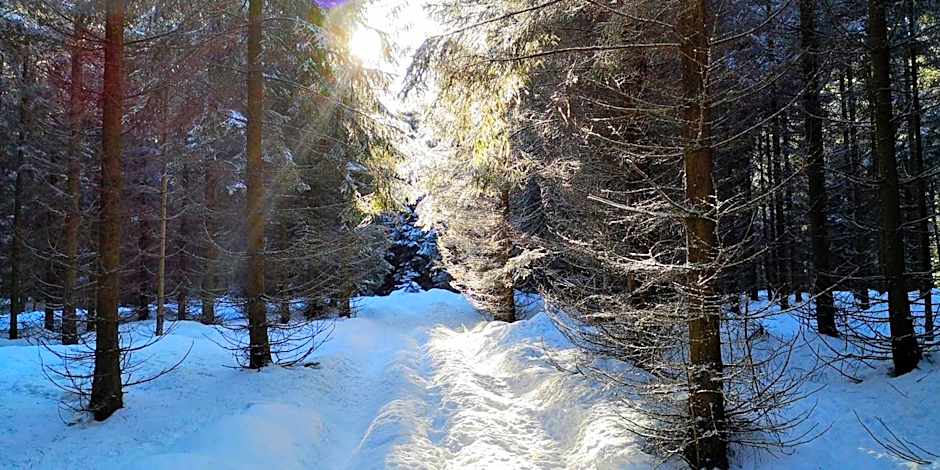 Comfort-Hotel garni Schierker Waldperle - inklusive Wellness