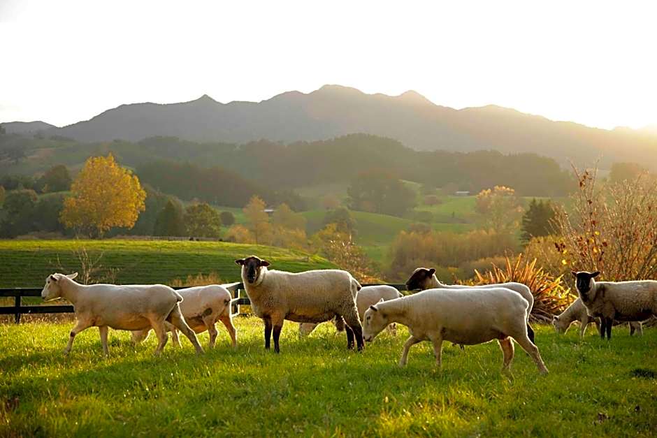 Somersal Bed & Breakfast