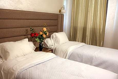 Deluxe Double or Twin Room with City View