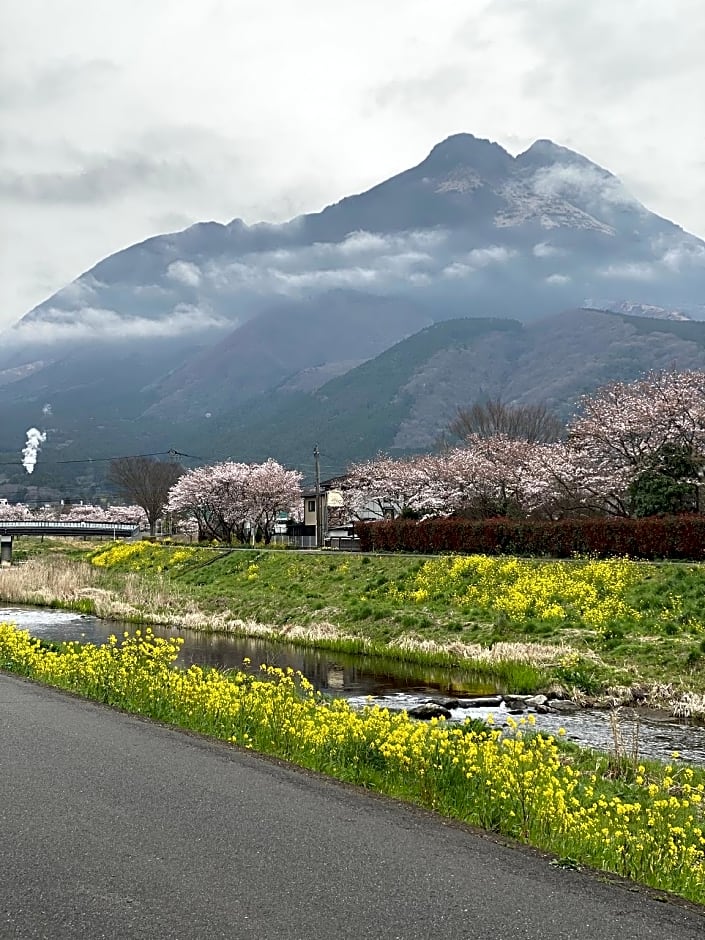 Yufuin Ryokan Wazanho
