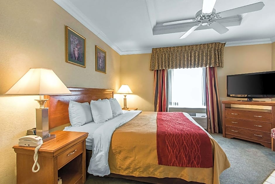 Comfort Inn At Founders Tower