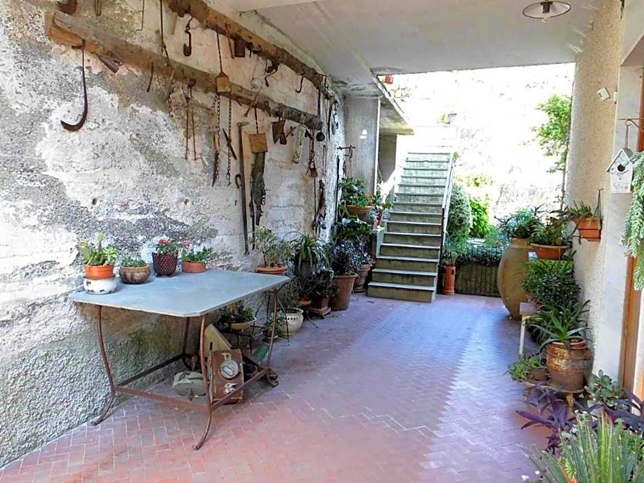 La Margherita di Teriasca