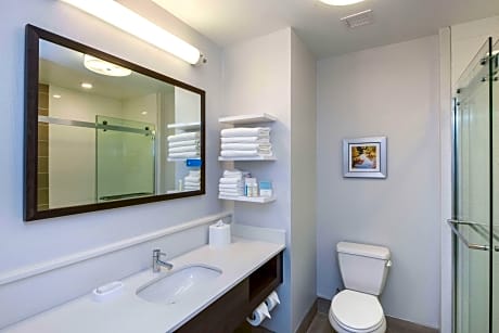 1 King Mobility Accessible Tub W/Sofabed Ns