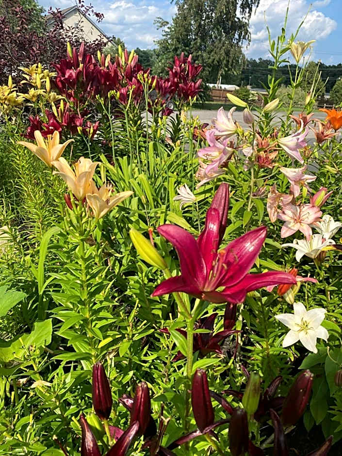 The Black Mountain Inn