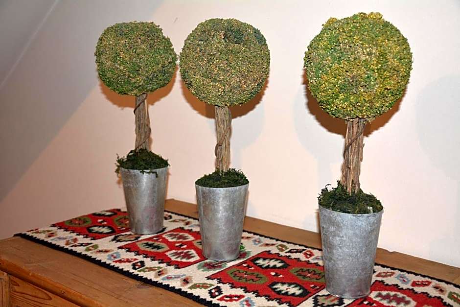 Hotel-Restaurant Fischer