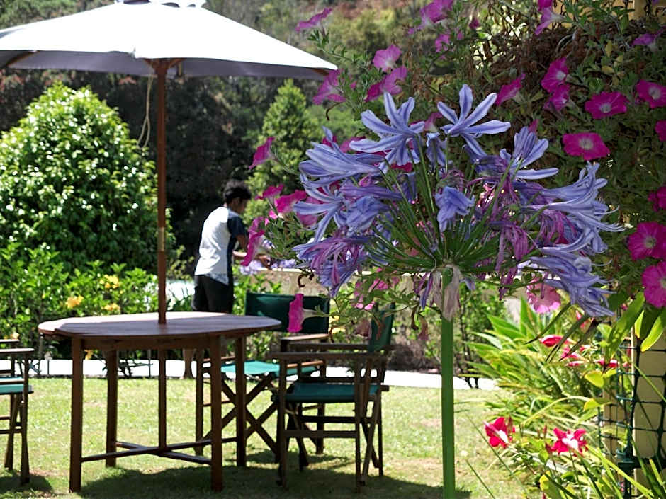 Tatahi Cove Back Packer