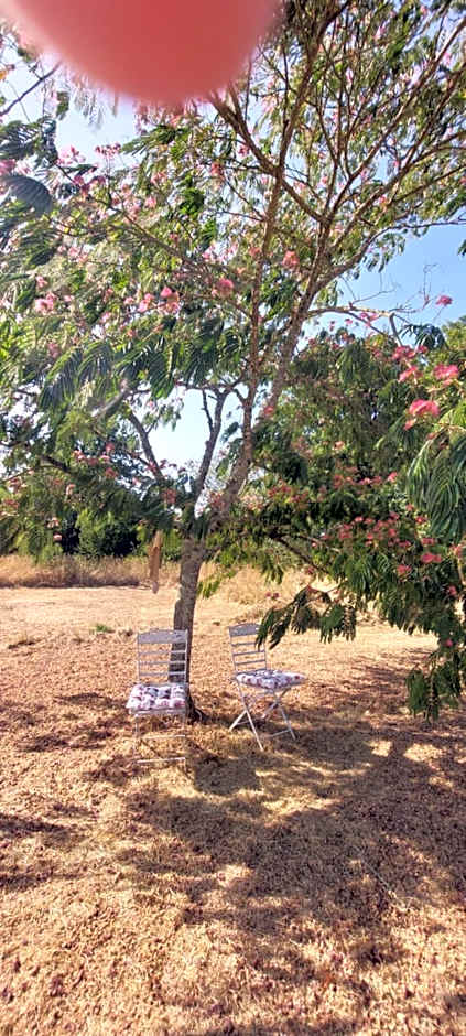 Le Jardin de Rose 24 FEUILLEBERT Romagne 86700