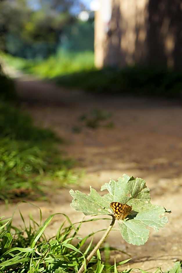 Alcaidesa Boutique Hotel