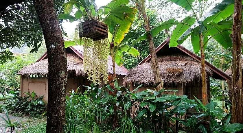 Hill Tribe Art House (Lahu & Akha Homestay)