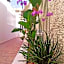 B&B Suites Via del Mare