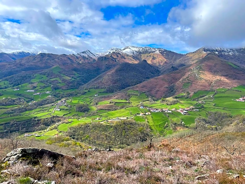 Manexenea