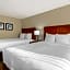 Comfort Inn & Suites St. Pete - Clearwater International Airport