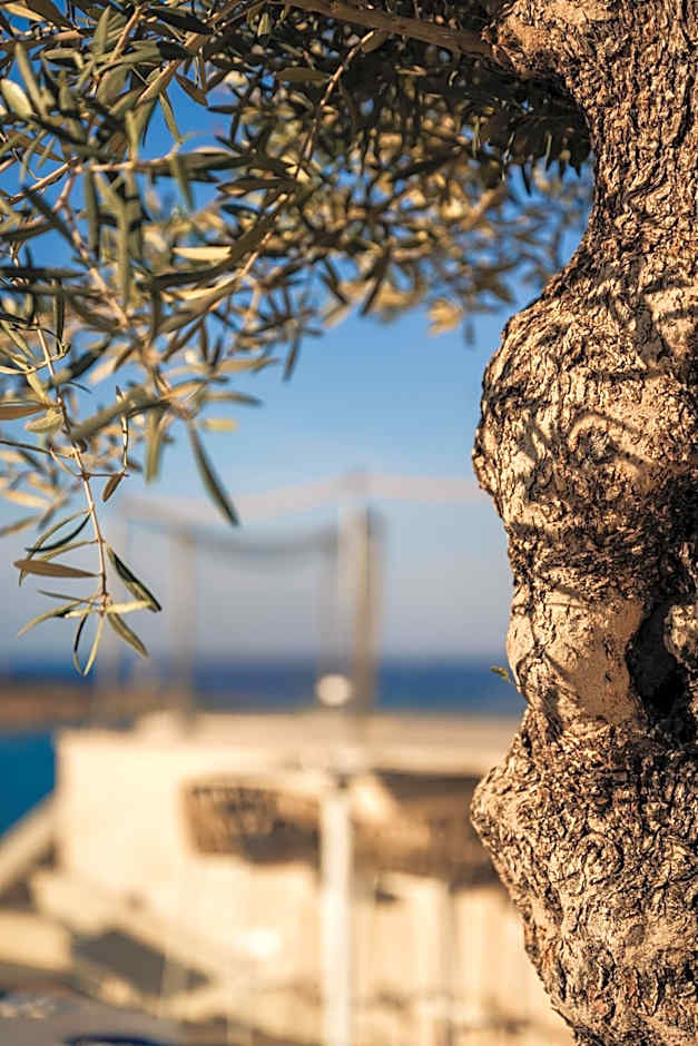 XVI Suites - Adults Only