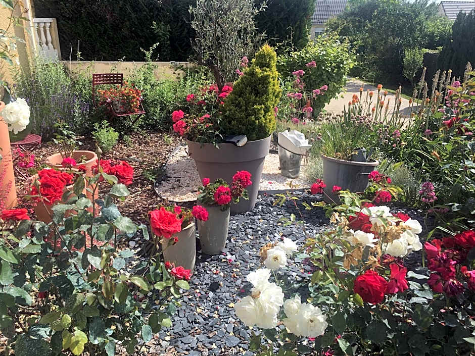 Mille et Une Bulles 51