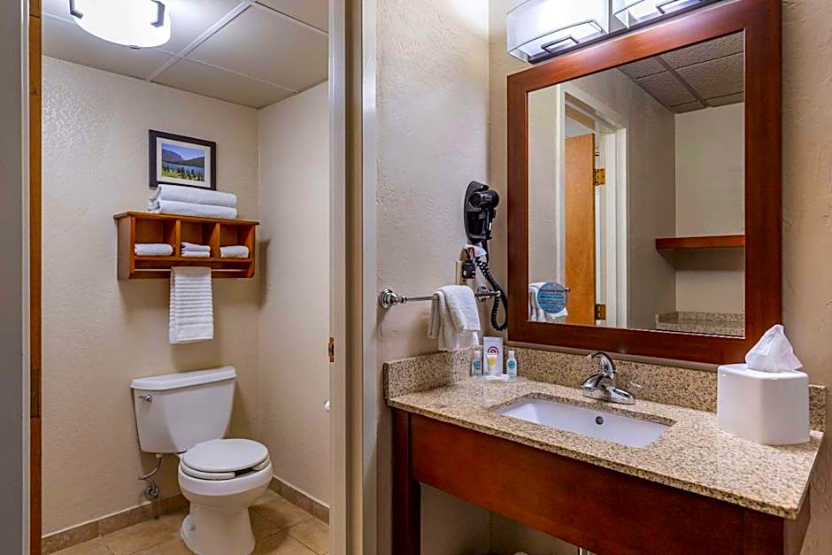 Comfort Inn Butte City Center I-15 / I-90