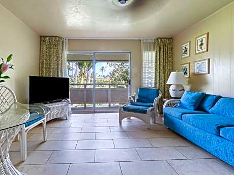 Standard One Bedroom Suite 1 King bed with Sofa Bed
