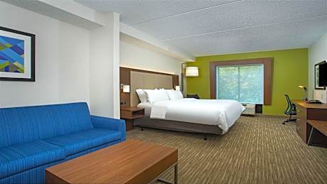 Suite King Bed Non Smoking