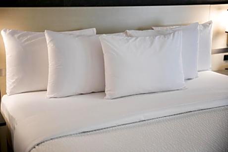 1 Queen Bed Mobility Accessible Room Non-Smoking