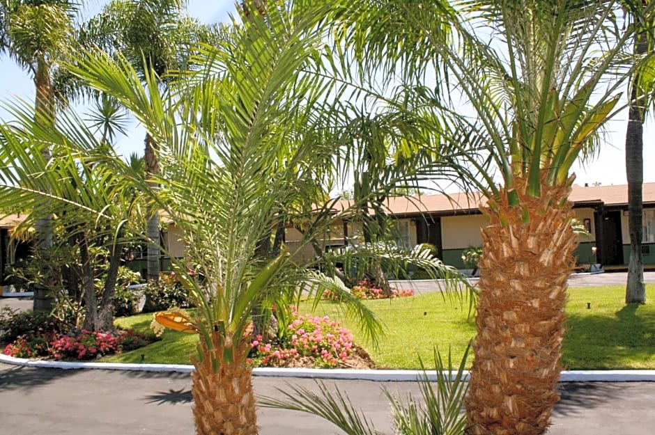 Palm Tropics Motel