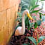 Jardim Secreto