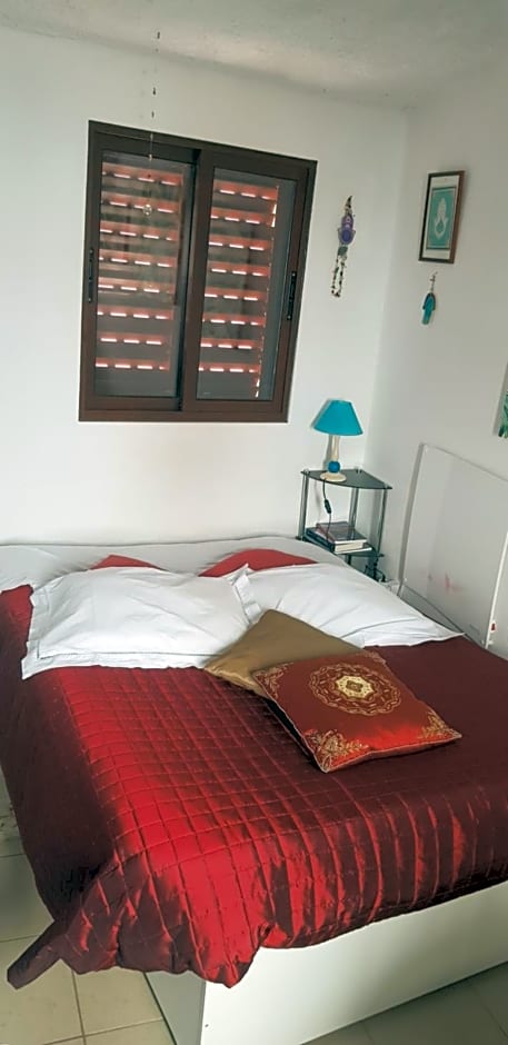 Branca Gonçalves Belmonte