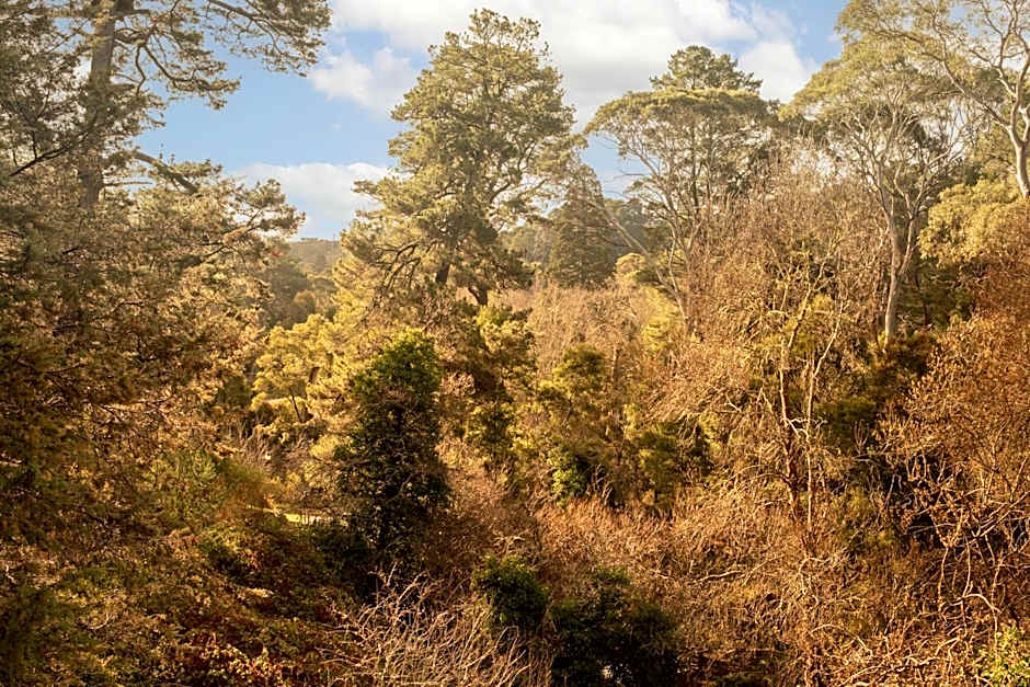 Hepburn Springs Motor Inn