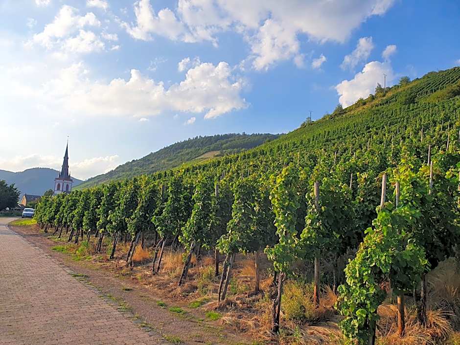 Römerstube Apartments & rooms