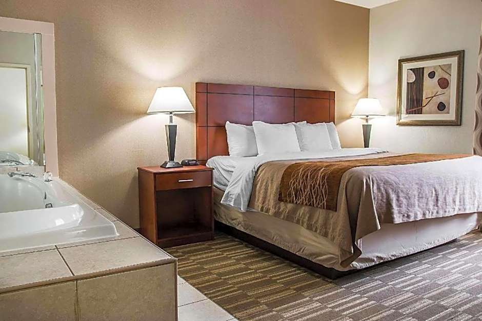 Comfort Inn & Suites University South