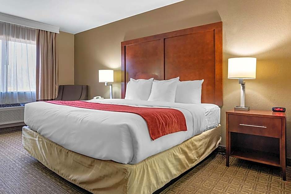 Comfort Inn & Suites Leeds I-20