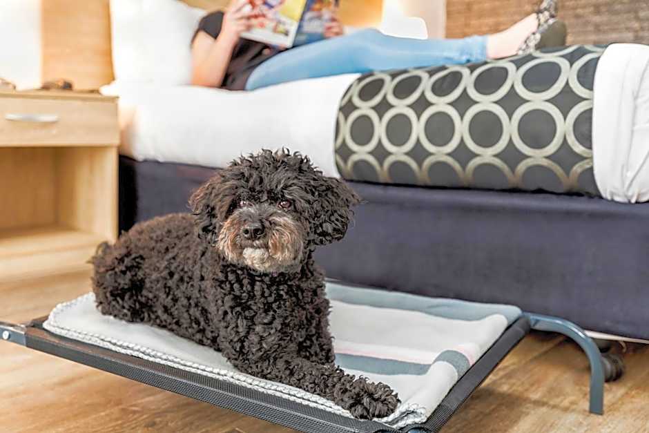 Adelaide Road Motor Lodge