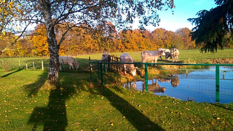 La mare aux grenouilles