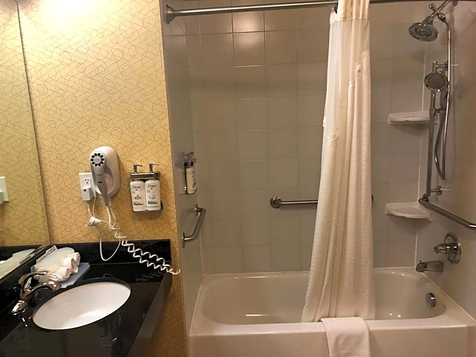 Holiday Inn Express Hotel & Suites Lansing-Dimondale By IHG