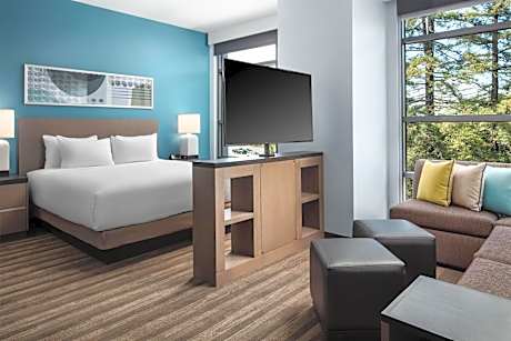 King Studio Suite with Kitchen and Sofa Bed