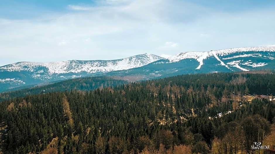 Karpacki & SPA - blisko wyciągu, Restauracja, Sala Zabaw, Bar 24h