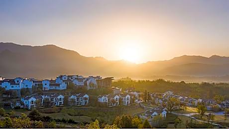 Banyan Tree Huangshan