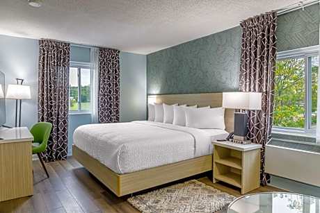 King Studio with Sofa Bed - Non-Smoking