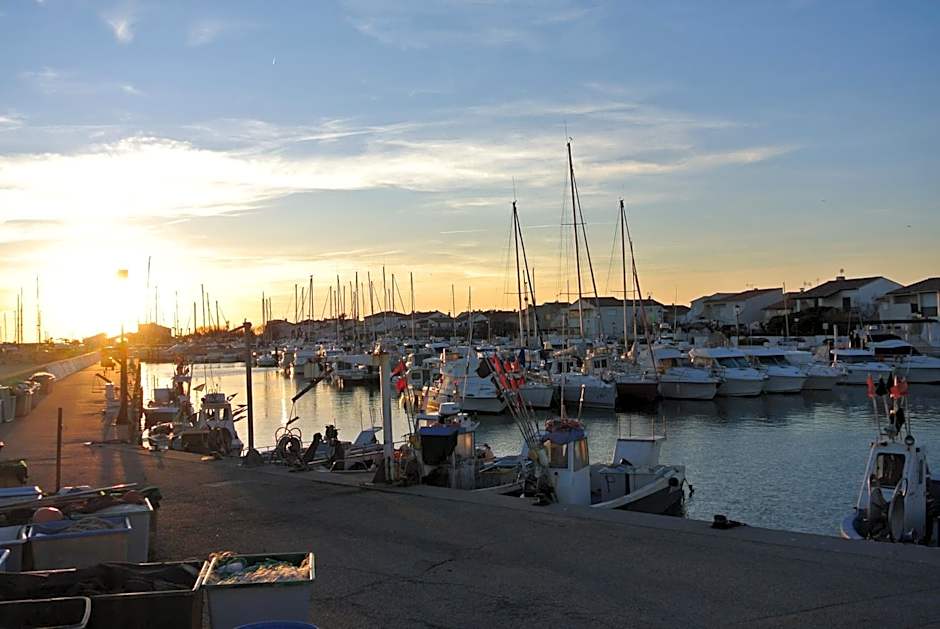 Hotel Les Palmiers En Camargue
