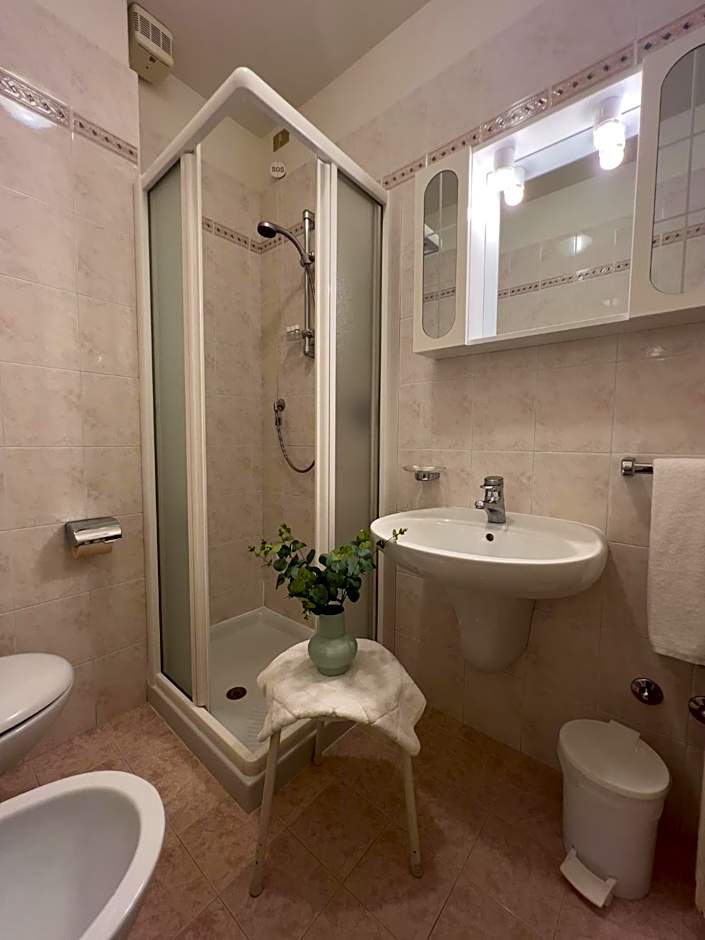 Hotel Benacus Torri del Benaco