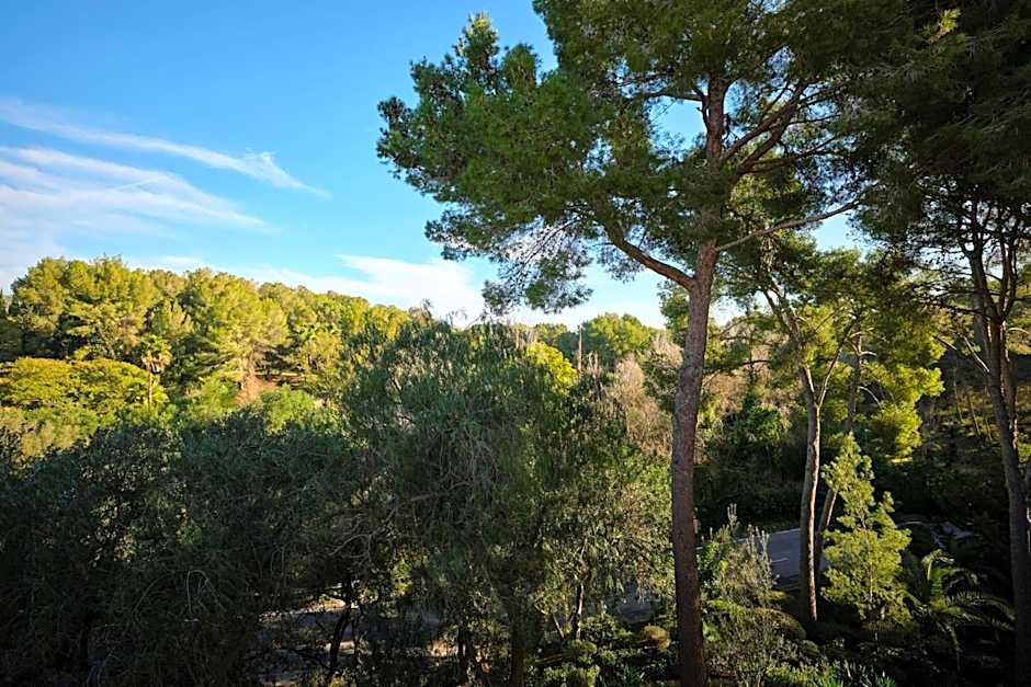 Sheraton Mallorca Arabella Golf Hotel