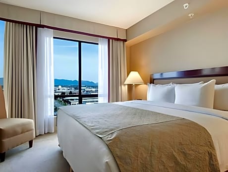 Suite King Bed