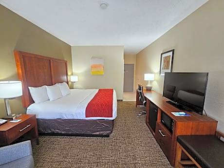 1 King Bed Nonsmoking