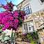 Villa Veria